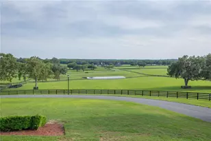 6500 SE 193rd St, Micanopy, FL 32667 - Photo 21