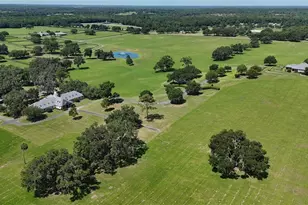 6500 SE 193rd St, Micanopy, FL 32667 - Photo 65