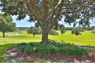 6500 SE 193rd Street, Micanopy, FL 32667 - Photo 23