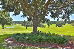 6500 SE 193rd St, Micanopy, FL 32667 - Photo 23