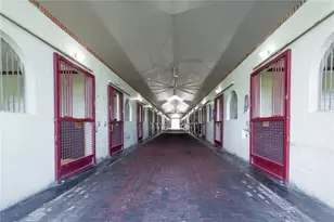 6500 & 6800 NW 193rd St, Micanopy, FL 32667 - Photo 29