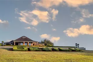 6500 & 6800 NW 193rd St, Micanopy, FL 32667 - Photo 19