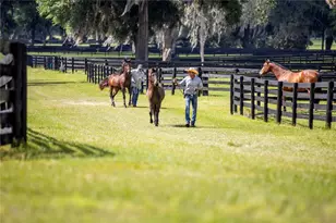 6500 & 6800 NW 193rd St, Micanopy, FL 32667 - Photo 47