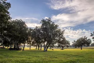 6500 & 6800 NW 193rd St, Micanopy, FL 32667 - Photo 51