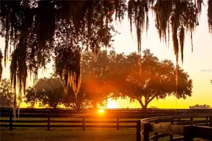 6500 & 6800 NW 193rd St, Micanopy, FL 32667 - Photo 53