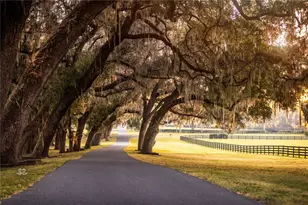 6500 & 6800 NW 193rd St, Micanopy, FL 32667 - Photo 49
