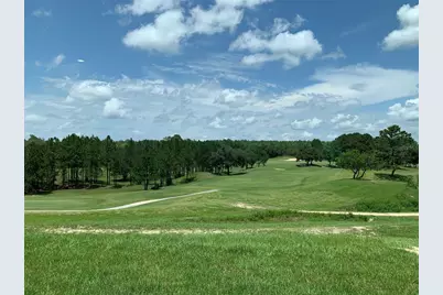 297 W Twisted Oaks Drive, Beverly Hills, FL 34465 - Photo 21