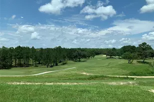 297 W Twisted Oaks Dr, Beverly Hills, FL 34465 - Photo 21