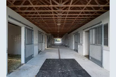 9001 NW 200th Street Road, Micanopy, FL 32667 - Photo 23