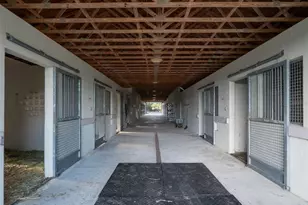 9001 NW 200th Street Rd, Micanopy, FL 32667 - Photo 23