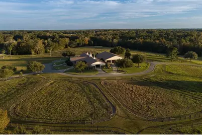 9001 NW 200th Street Road, Micanopy, FL 32667 - Photo 19