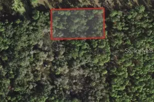 5230 N Whetstone Point, Crystal River, FL 34428 - Photo 1