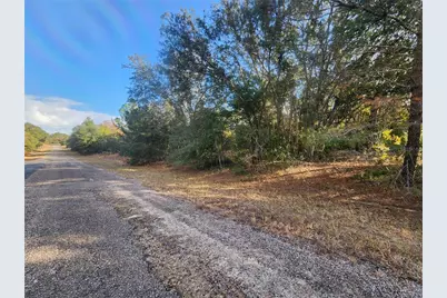 2176 W Conway Drive, Citrus Springs, FL 34434 - Photo 3