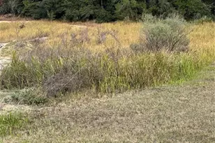 0 SW 37th Terrace, Ocala, FL 34476 - Photo 1