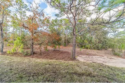 11457 N Condor Drive, Dunnellon, FL 34433 - Photo 19