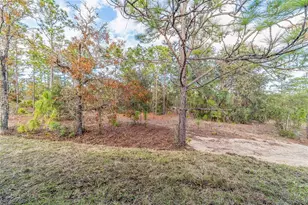 11457 N Condor Dr, Dunnellon, FL 34433 - Photo 19