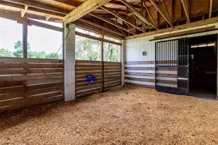 6980 SW 72nd Ct, Ocala, FL 34476 - Photo 63