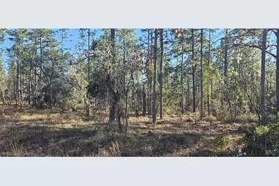 Lot 13 NW Water Oak Avenue, Dunnellon, FL 34431 - Photo 1