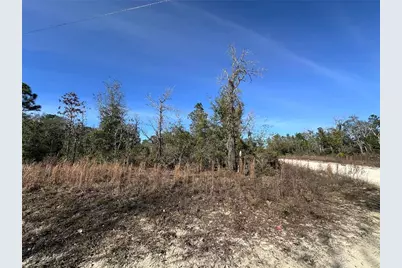 Tbd NE 117th Terrace, Williston, FL 32696 - Photo 3