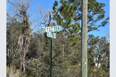 Tbd NE 117th Terrace, Williston, FL 32696 - Photo 5