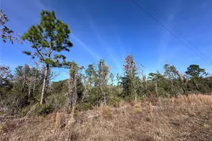 Tbd NE 117th Terrace, Williston, FL 32696 - Photo 1