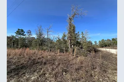 Tbd NE 117th Terrace, Williston, FL 32696 - Photo 9