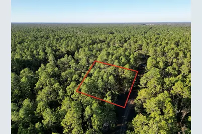 Tbd SW 155th Avenue, Ocala, FL 34481 - Photo 7