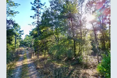 Tbd SW 155th Avenue, Ocala, FL 34481 - Photo 3