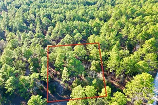 Tbd SW 155th Ave, Ocala, FL 34481 - Photo 1