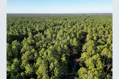 Tbd SW 155th Avenue, Ocala, FL 34481 - Photo 9