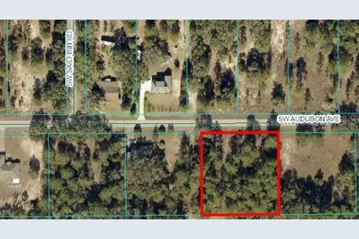 00 SW Audubon Ave, Dunnellon, FL 34431 - Photo 1