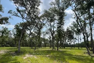 Tbd NW 14th St - Lot 6, Ocala, FL 34482 - Photo 1
