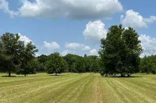 Tbd NW 14th St - Lot 2, Ocala, FL 34482 - Photo 1