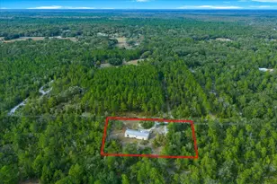 137 Franklin Ave, Pomona Park, FL 32181 - Photo 37