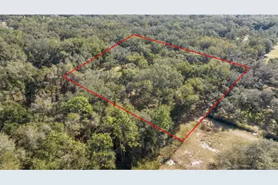 Tbd S Hwy 301, Webster, FL 33597 - Photo 1