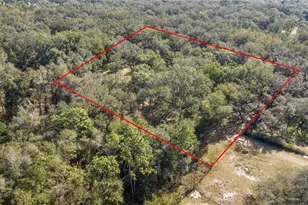 Tbd S Hwy 301, Webster, FL 33597 - Photo 1