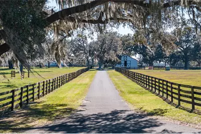 12853 NW 90th Avenue, Reddick, FL 32686 - Photo 91