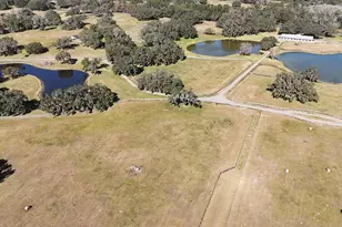 12853 NW 90th Ave, Reddick, FL 32686 - Photo 71