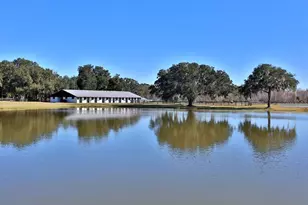 12853 NW 90th Ave, Reddick, FL 32686 - Photo 33