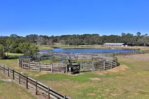 12853 NW 90th Ave, Reddick, FL 32686 - Photo 53