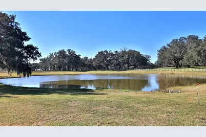 12853 NW 90th Avenue, Reddick, FL 32686 - Photo 35