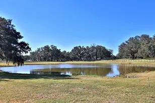 12853 NW 90th Ave, Reddick, FL 32686 - Photo 35