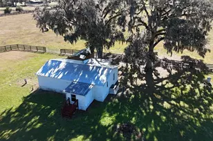 12853 NW 90th Ave, Reddick, FL 32686 - Photo 79