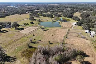 12853 NW 90th Ave, Reddick, FL 32686 - Photo 67