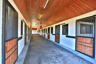 12853 NW 90th Ave, Reddick, FL 32686 - Photo 43