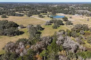 12853 NW 90th Ave, Reddick, FL 32686 - Photo 69