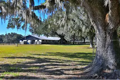 12853 NW 90th Avenue, Reddick, FL 32686 - Photo 37