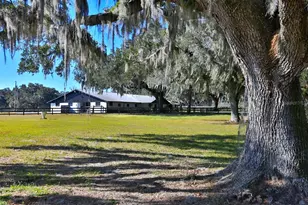 12853 NW 90th Ave, Reddick, FL 32686 - Photo 37