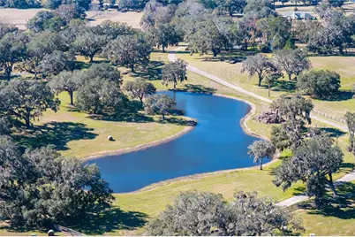 12853 NW 90th Avenue, Reddick, FL 32686 - Photo 83