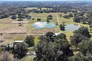 12853 NW 90th Ave, Reddick, FL 32686 - Photo 65